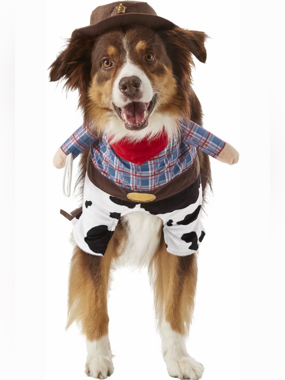 Frisco Front Walking Cowboy Dog Halloween/ Party Costume, XX-Large